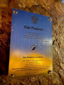 Posadzenie Dębu Papieskiego 2022 – zdjęcie 4 z 7