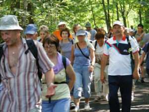 Piesza Pielgrzymka do Częstochowy 2008 – zdjęcie 124 z 305