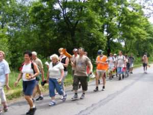 Piesza Pielgrzymka do Częstochowy 2008 – zdjęcie 175 z 305